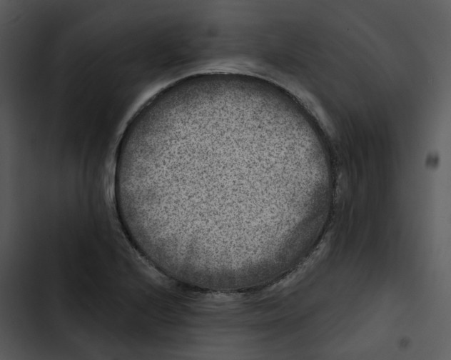 X0000102831224200809081147