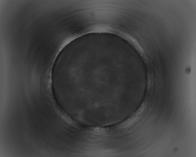 X0000102831226200809081147