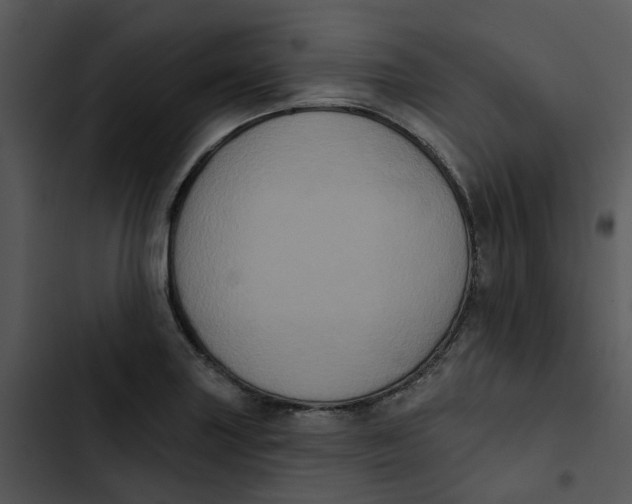 X0000102831227200809081147