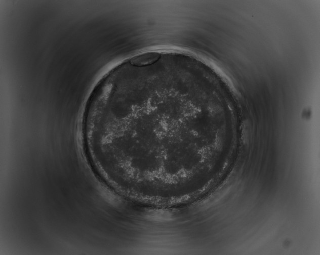 X0000102831229200809081147