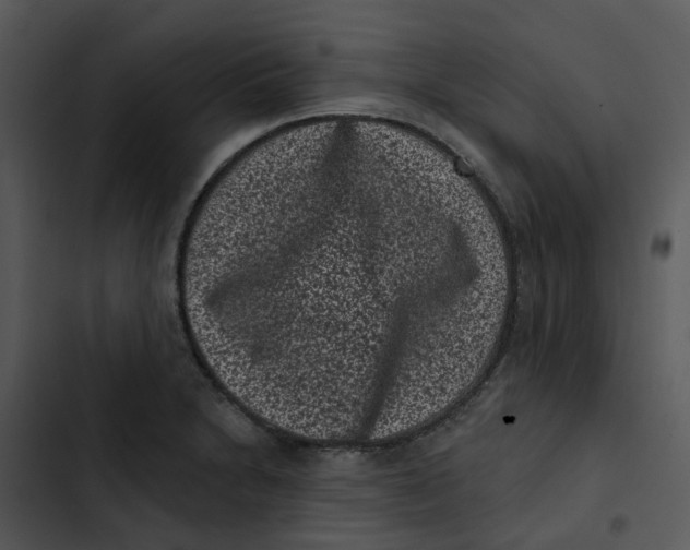 X0000102831230200809081147