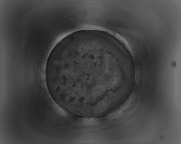 X0000102831231200809081147