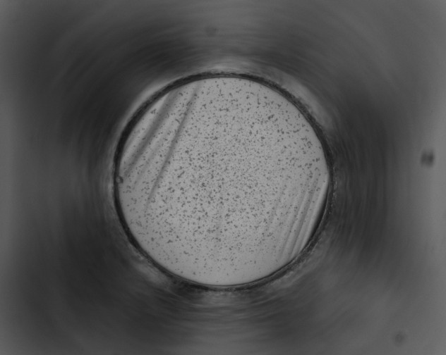 X0000102831232200809081147