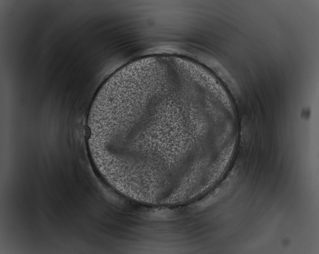 X0000102831233200809081147