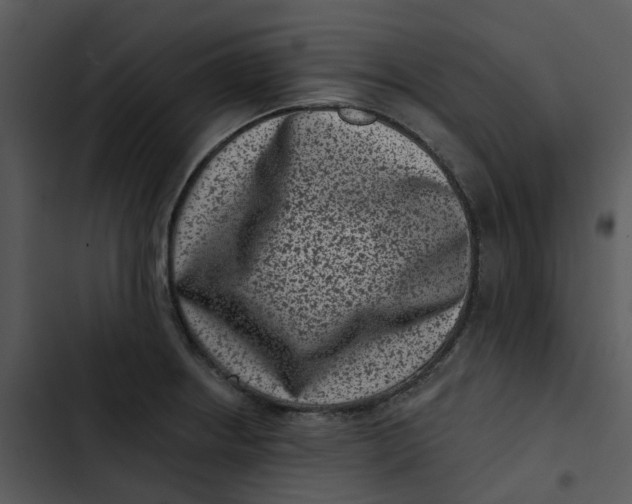 X0000102831234200809081147