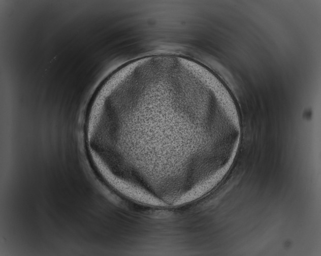 X0000102831235200809081147