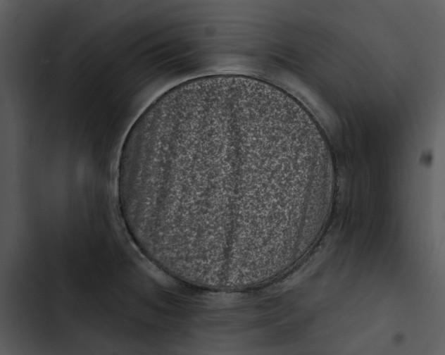 X0000102831236200809081147