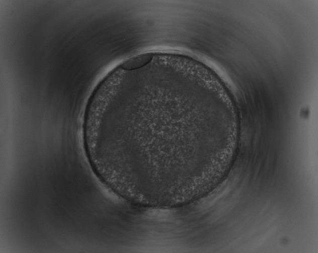 X0000102831237200809081147