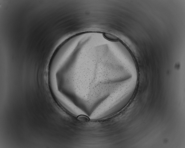 X0000102831238200809081147