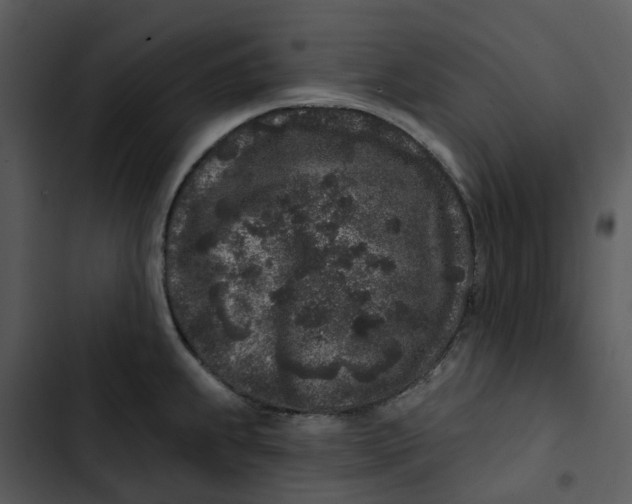 X0000102831239200809081147