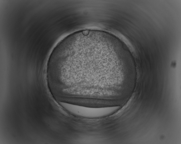 X0000102831240200809081147