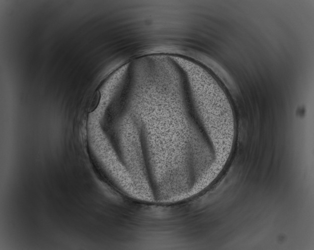 X0000102831241200809081147