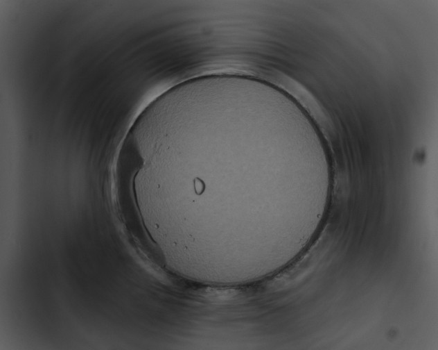 X0000102831242200809081147