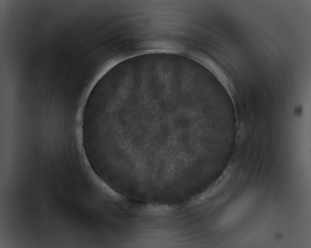 X0000102831243200809081147