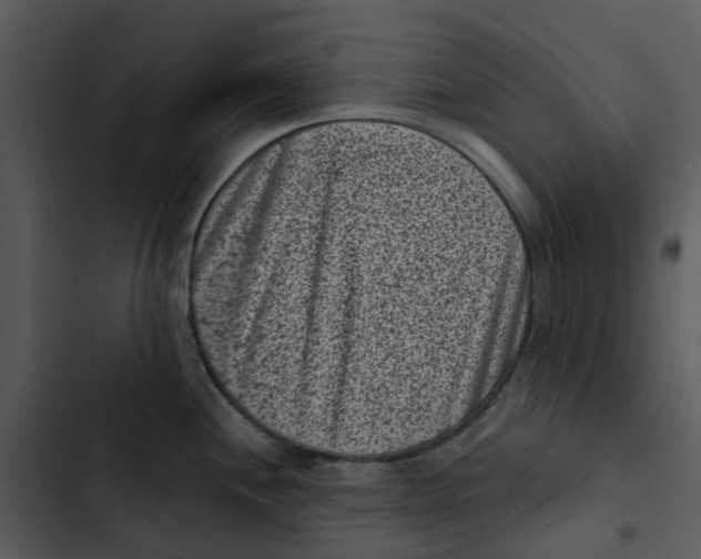 X0000102831244200809081147