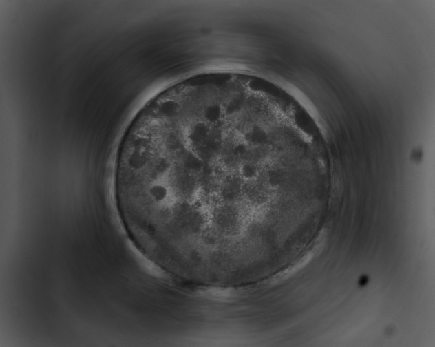 X0000102831245200809081148