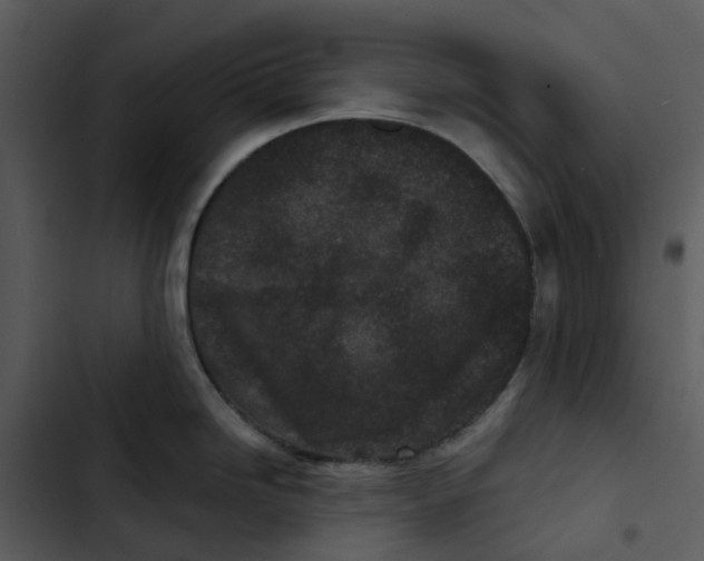 X0000102831246200809081148