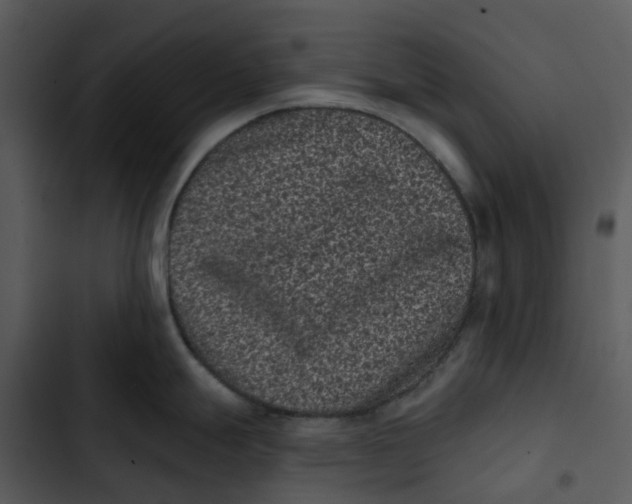 X0000102831247200809081148