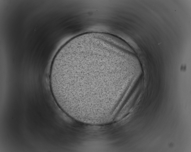 X0000102831248200809081148