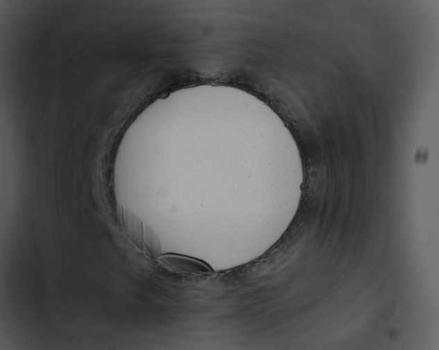 X0000102831249200809081147