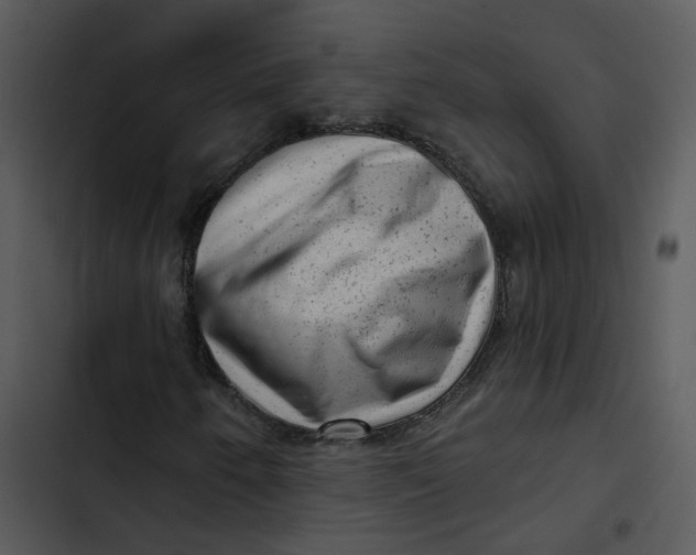 X0000102831250200809081147