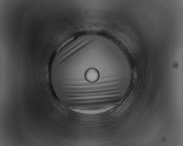 X0000102831252200809081147