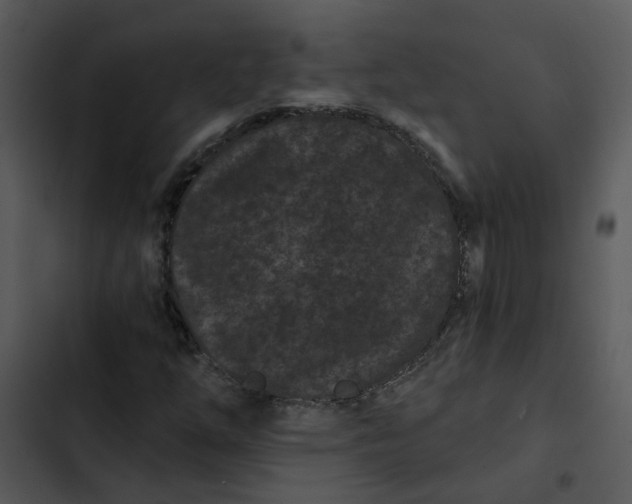 X0000102831254200809081147