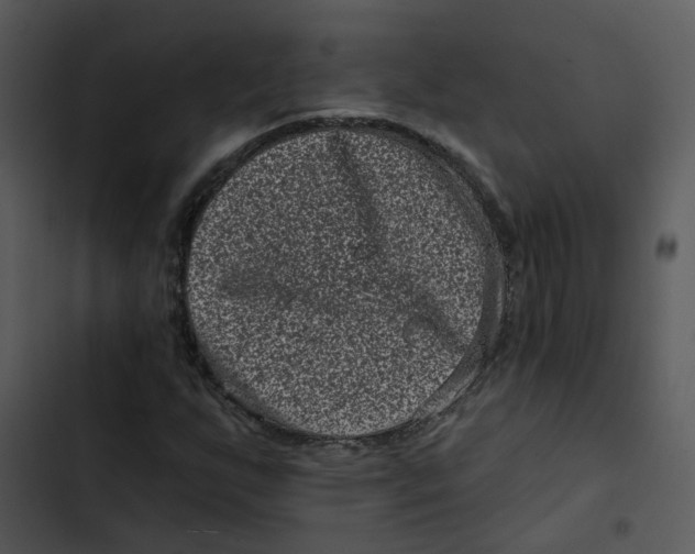 X0000102831255200809081147