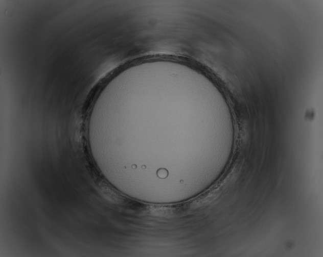 X0000102831258200809081147