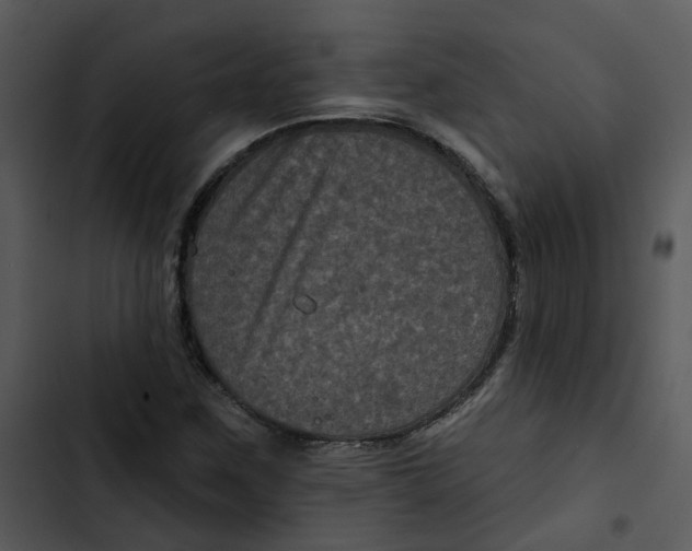 X0000102831259200809081147