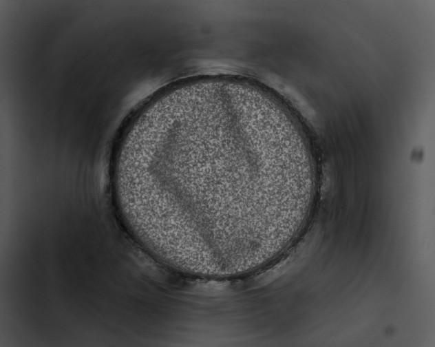 X0000102831261200809081147