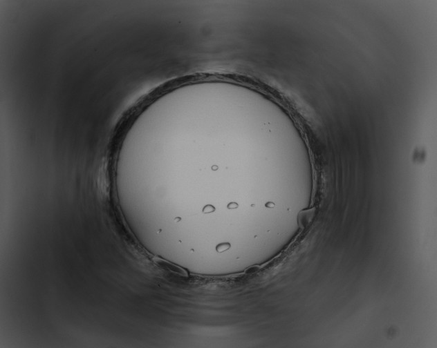 X0000102831262200809081147