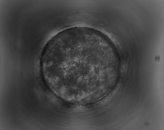 X0000102831263200809081147