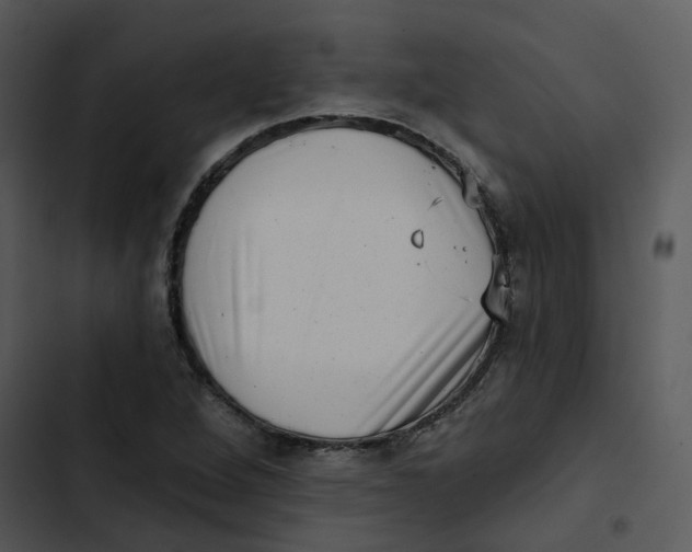 X0000102831264200809081146