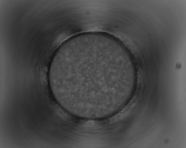 X0000102831265200809081146