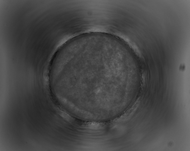 X0000102831266200809081146