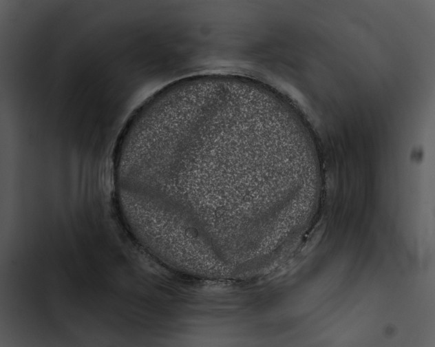 X0000102831267200809081146