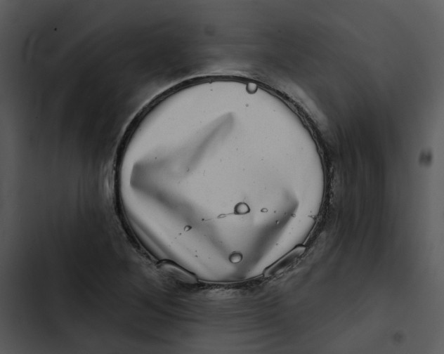 X0000102831268200809081146