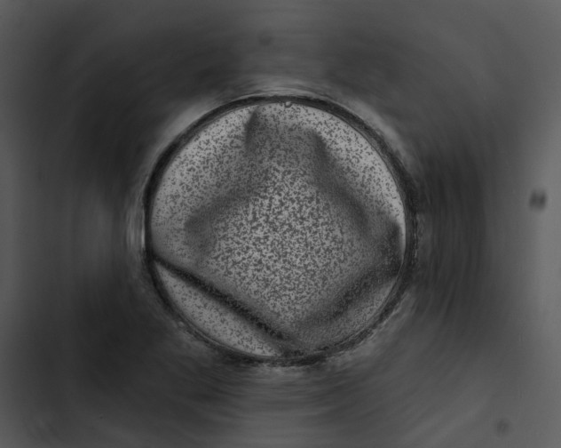 X0000102831269200809081146