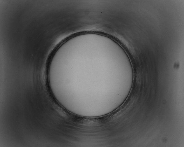 X0000102831270200809081146