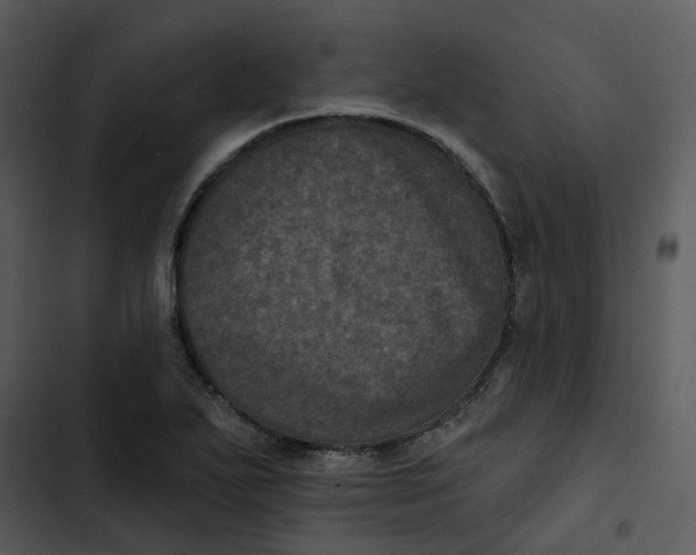 X0000102831271200809081146