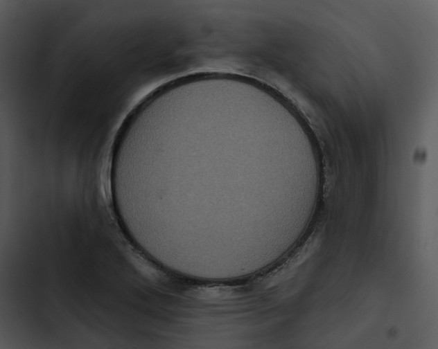 X0000102831272200809081146