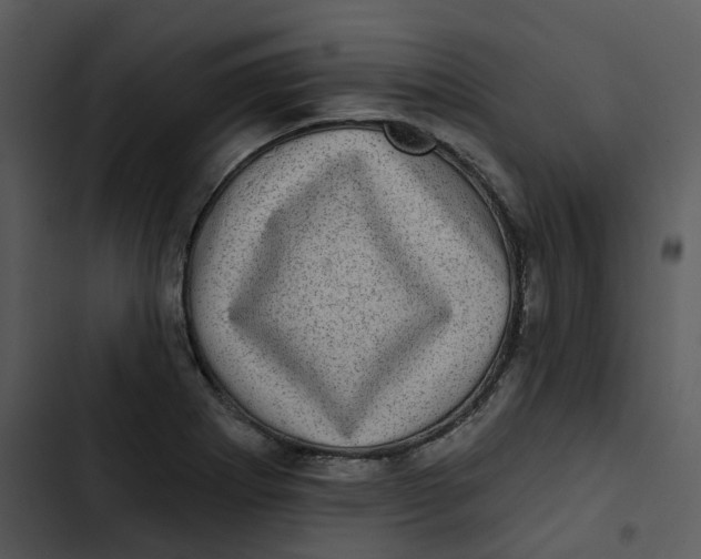 X0000102831273200809081146