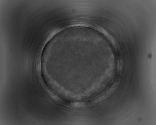 X0000102831274200809081146