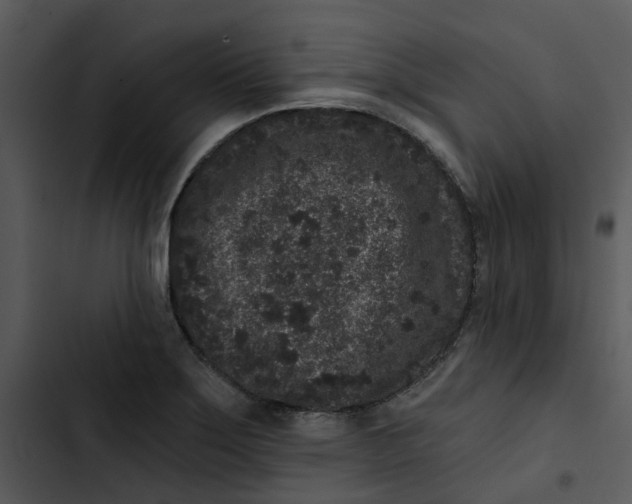 X0000102831275200809081146