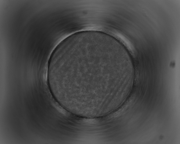 X0000102831276200809081146