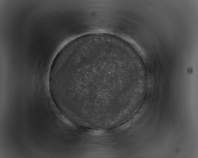 X0000102831278200809081146