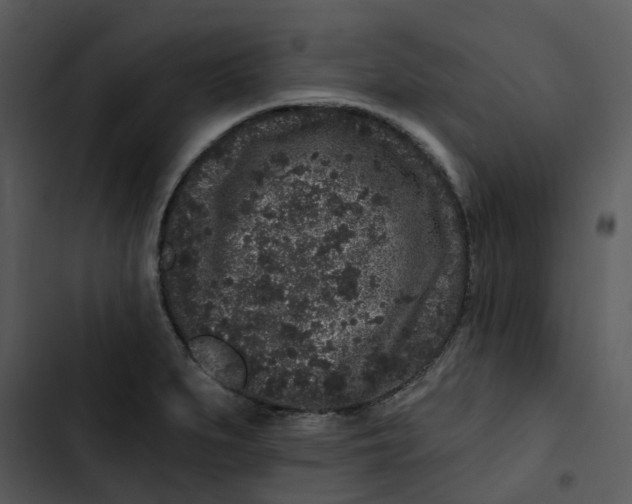 X0000102831279200809081146