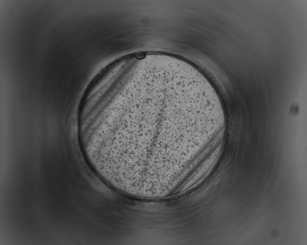 X0000102831280200809081146