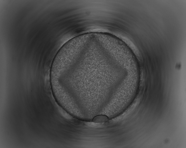 X0000102831281200809081146